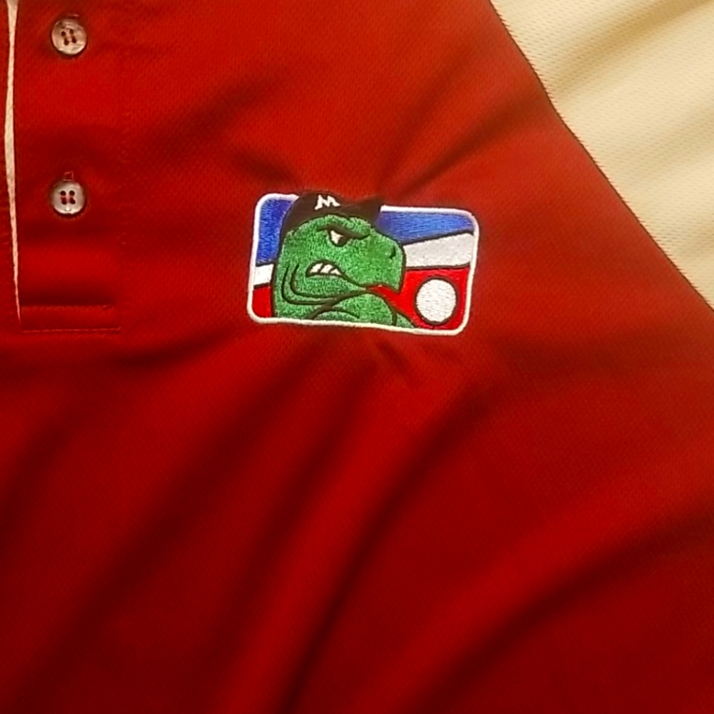 Custom Basball Jersey - Picture 2 of 6